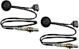 Before and After Catalytic Converter Oxygen Sensors