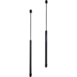 2007 Chevrolet Tahoe - Driver and Passenger Side Lift Support Liftgate Glass, Sport Utility