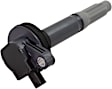 Ignition Coils, 5.0L, 8 Cyl. Engine