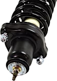 Rear, Driver and Passenger Side Fully Loaded Strut, FWD