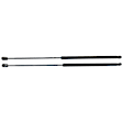 Driver and Passenger Side Hood Lift Support, Set of 2