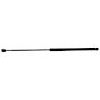 Driver and Passenger Side Hood Lift Support, Set of 2
