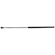 Driver and Passenger Side Hood Lift Support, Set of 2