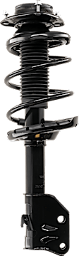Fully Loaded Strut