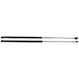 2012 Toyota Avalon - Driver and Passenger Side Lift Support Hood, Sedan