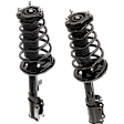 Rear, Driver and Passenger Side Fully Loaded Strut, FWD