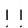 Rear, Driver and Passenger Side Shock