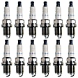 SET-NP3005-12 Spark Plug, Set of 12, Double Platinum Series