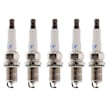 SET-NP4503-5 Spark Plug, 2.5L, 5Cyl, Set of 5, Platinum TT Series