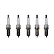 SET-NP4506-5 Spark Plug, Set of 5, Platinum TT Series