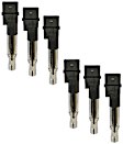 SET-NP6739304 Ignition Coil, Set of 6, 3.2L, 6Cyl