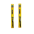 SET-R49RX30117-2 Front Professional Series Wiper Blades, Driver and Passenger Side - 17 in.