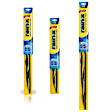 SET-R49RX30122-FR-G Wiper Blade, Framed 22 in., 21 in. and 13 in.