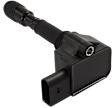 Ignition Coil, Set of 12
