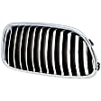 Driver and Passenger Side Grille Assemblies, Grille, For Models With M Package