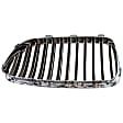 Driver and Passenger Side Grille Assemblies, Grille, For Models With M Package