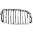 Driver and Passenger Side Grille Assemblies, Grille, Sedan