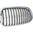 Driver and Passenger Side Grille Assemblies, Grille, Sedan