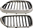 Driver and Passenger Side Grille Assemblies, Grille