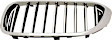 Driver and Passenger Side Grille Assemblies, Grille