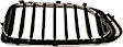 Driver and Passenger Side Grille Assemblies, Grille