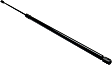 Driver and Passenger Side Hood Lift Support, Coupe/Convertible