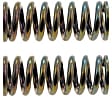 SET-RB38436-2 Door Hinge Spring - Direct Fit, Set of 2