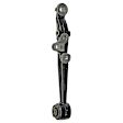 SET-RB520462 Front, Driver and Passenger Side, Lower, Frontward Control Arm, Without ball joint(s), Iron