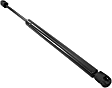 Driver and Passenger Side Liftgate Lift Support