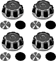 SET-RB909029 Wheel Center Cap - Set of 4