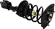Rear, Driver and Passenger Side Fully Loaded Strut