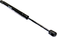 Driver and Passenger Side Trunk Lid Lift Support, Sedan, For Models Without Spoiler