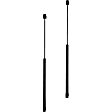 2015 Chevrolet Suburban - Driver and Passenger Side Lift Support Liftgate Glass, Sport Utility