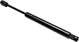 Driver and Passenger Side Trunk Lid Lift Supports, Coupe