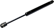 Driver and Passenger Side Trunk Lid Lift Support, Sedan