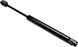 Driver and Passenger Side Trunk Lid Lift Support, Sedan