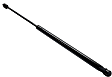 Driver and Passenger Side Liftgate Lift Support, Sport Utility