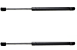 Driver and Passenger Side Hood Lift Support, Coupe/Sedan