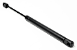 Driver and Passenger Side Hood Lift Support, Coupe/Sedan