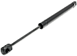Driver and Passenger Side Hood Lift Support, Coupe/Sedan