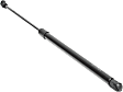 Driver and Passenger Side Hood Lift Support, Sport Utility, For Models With or Without Power Liftgate