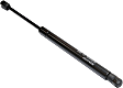 Driver and Passenger Side Hood Lift Support, Sedan