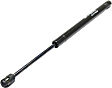 Driver and Passenger Side Hood Lift Support, Sedan
