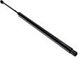 Driver and Passenger Side Liftgate Lift Support, Sport Utility