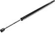 Driver and Passenger Side Trunk Lid Lift Support, Sport Utility, For Models With Power Liftgate