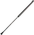 Driver and Passenger Side Trunk Lid Lift Support, Sedan/Wagon