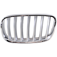 Grille Chrome Shell with Silver Insert