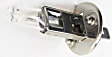 Driver and Passenger Side Halogen H1 Headlight Bulb Low and High Beam, Set of 2