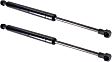 2004 BMW 330i - Driver and Passenger Side Hood Lift Support