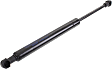 2004 BMW 330i - Driver and Passenger Side Hood Lift Support